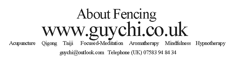 about Sword fencing