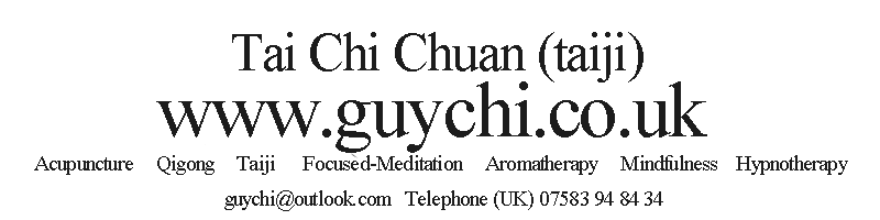 tai chi chuan @ guychi.co.uk