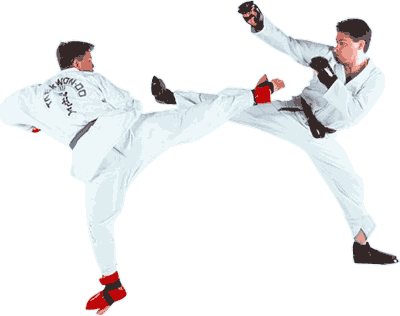 learn taekwondo