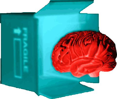 heated brain