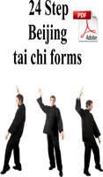 24 Beijing steps taichiquan PDF £2
