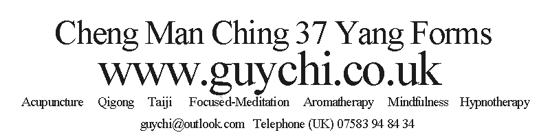 cheng man ching 37 yang style forms
