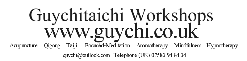 guychi workshops